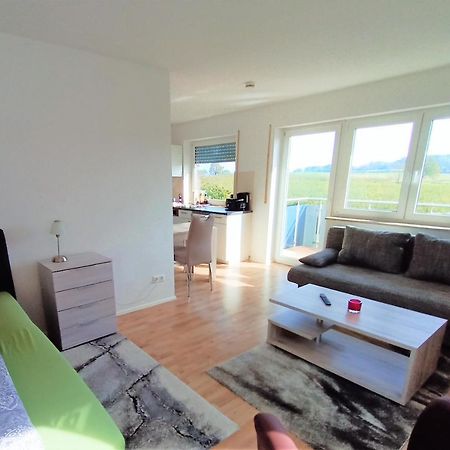 Bodensee Apartments Friedrichshafen Schnetzenhausen エクステリア 写真