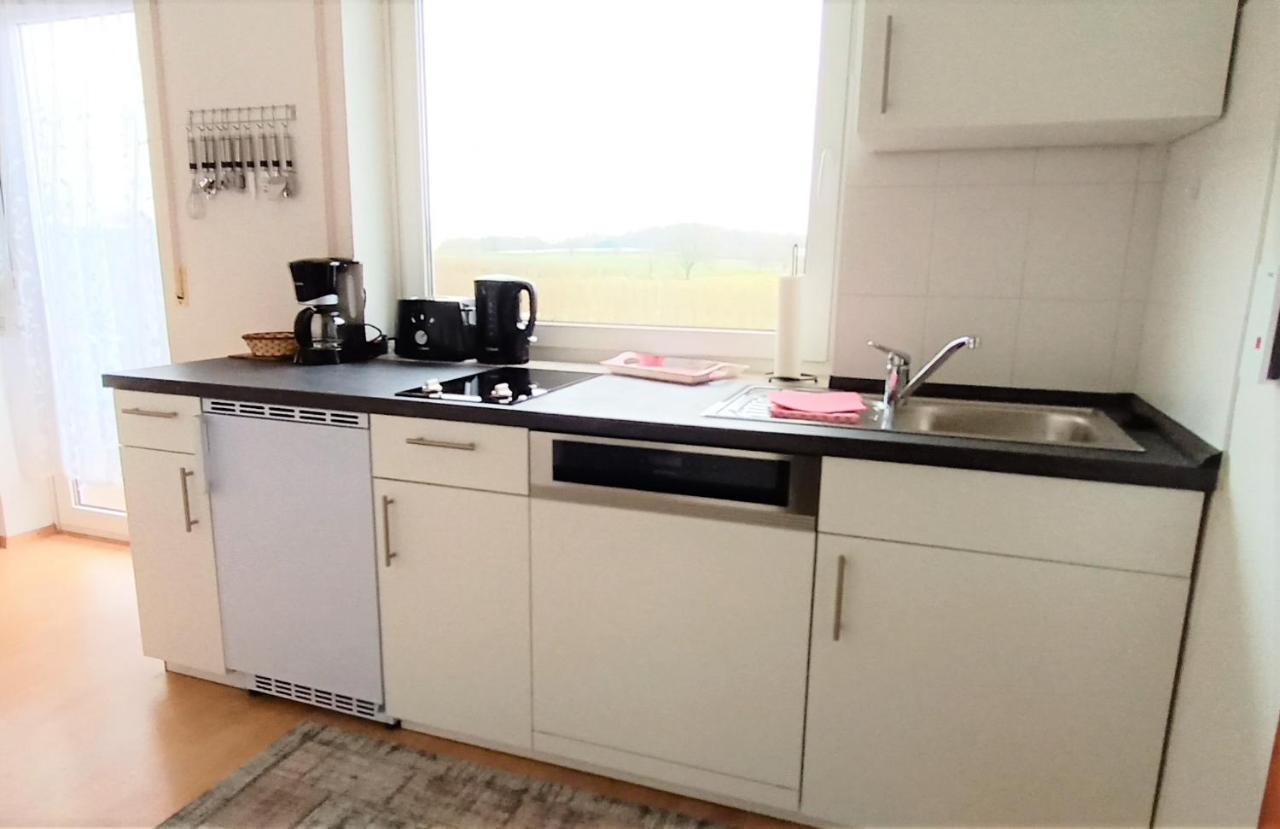 Bodensee Apartments Friedrichshafen Schnetzenhausen エクステリア 写真