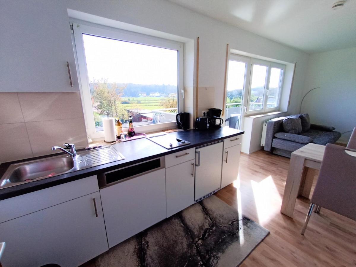 Bodensee Apartments Friedrichshafen Schnetzenhausen エクステリア 写真