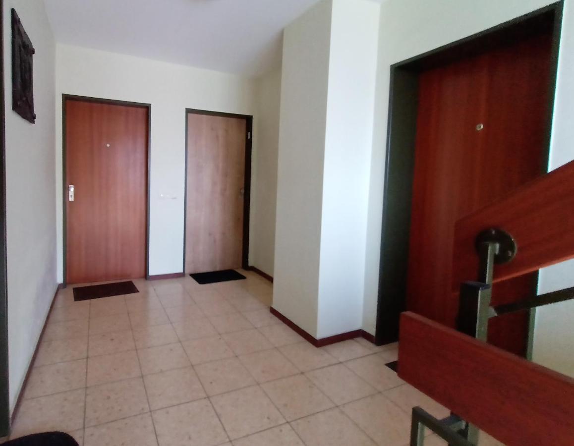 Bodensee Apartments Friedrichshafen Schnetzenhausen エクステリア 写真